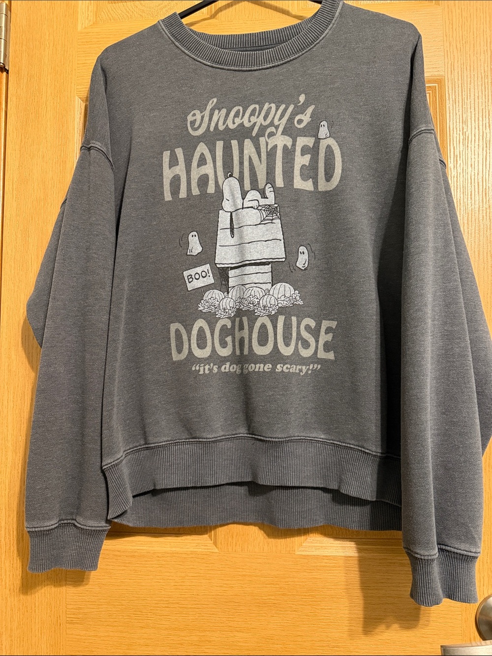 American Eagle Outfitters Gray Snoopy Haunted Doghouse Crewneck Sweatshirt
